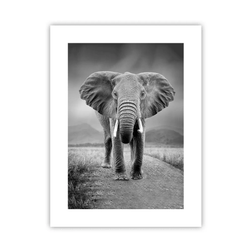 Poszter - A házigazda üdvözli - 30x40 cm