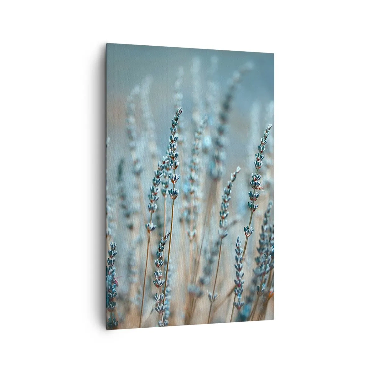 Vászonkép - Illatos szálak - 80x120 cm