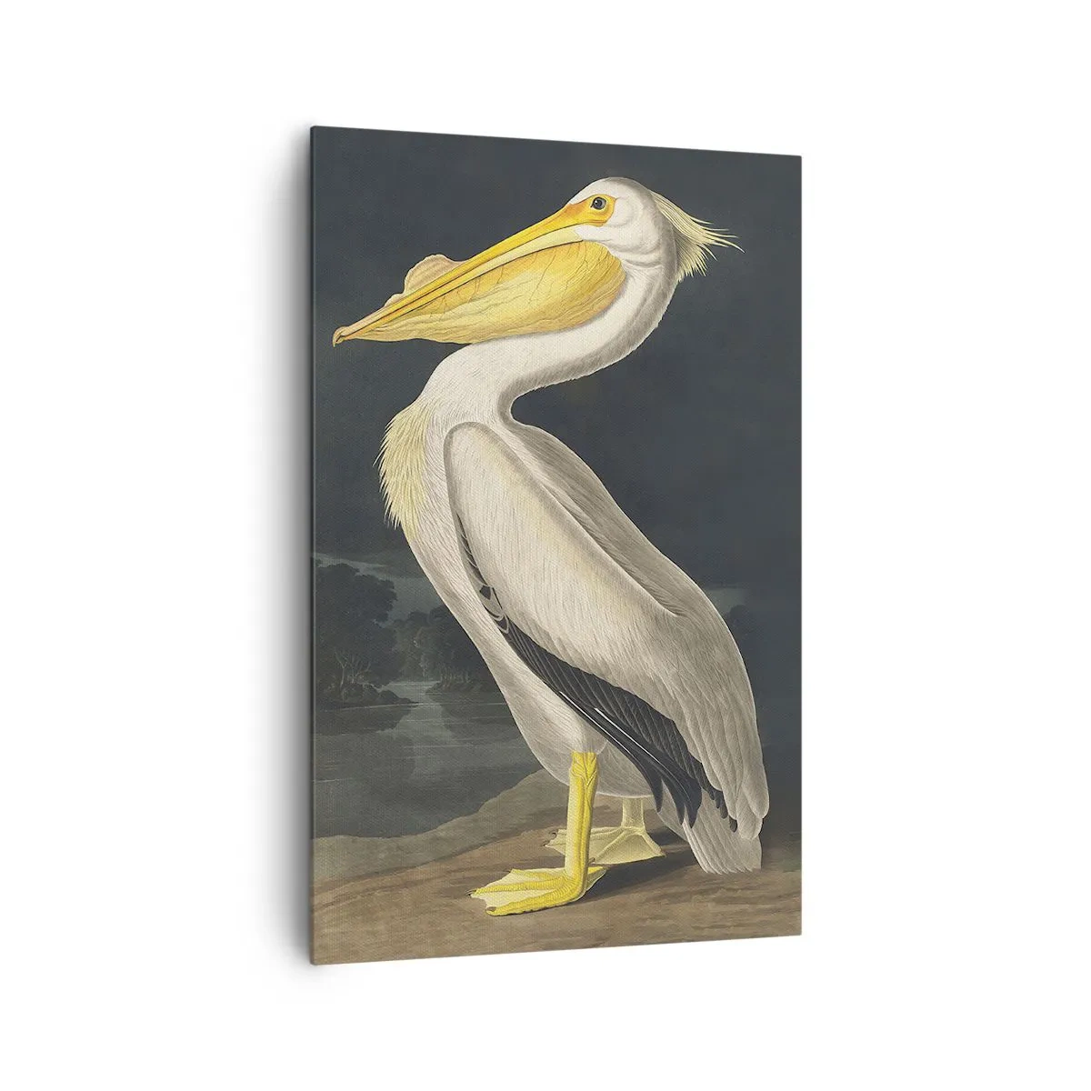 Vászonkép - Tele büszkeséggel - 80x120 cm