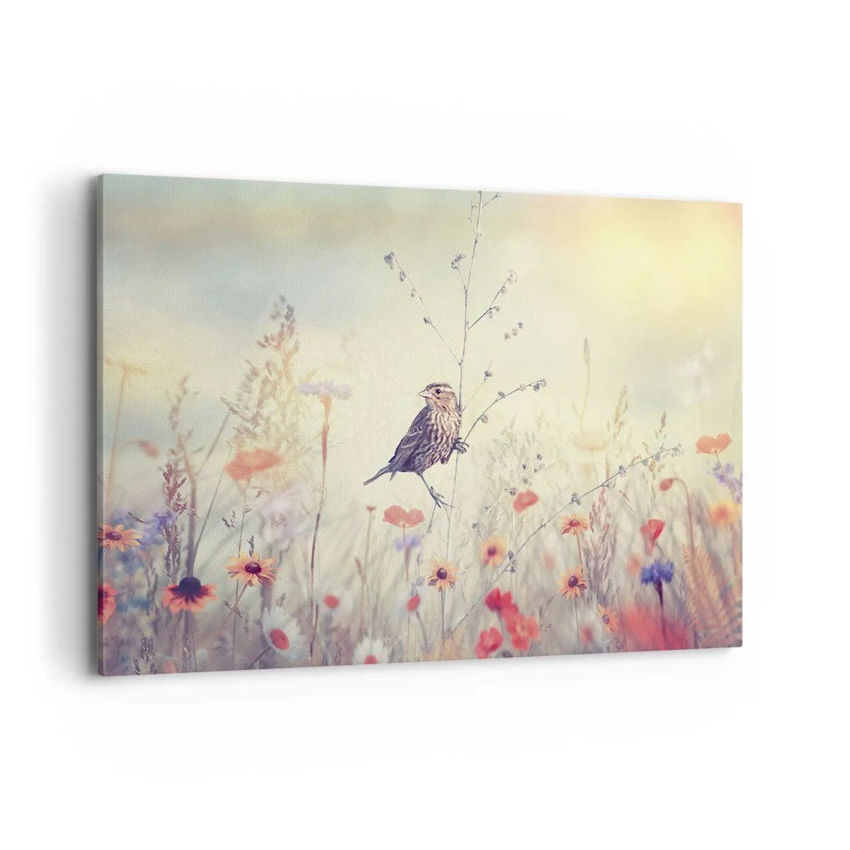 Vászonkép - Madárportré egy réttel a háttérben - 100x70 cm