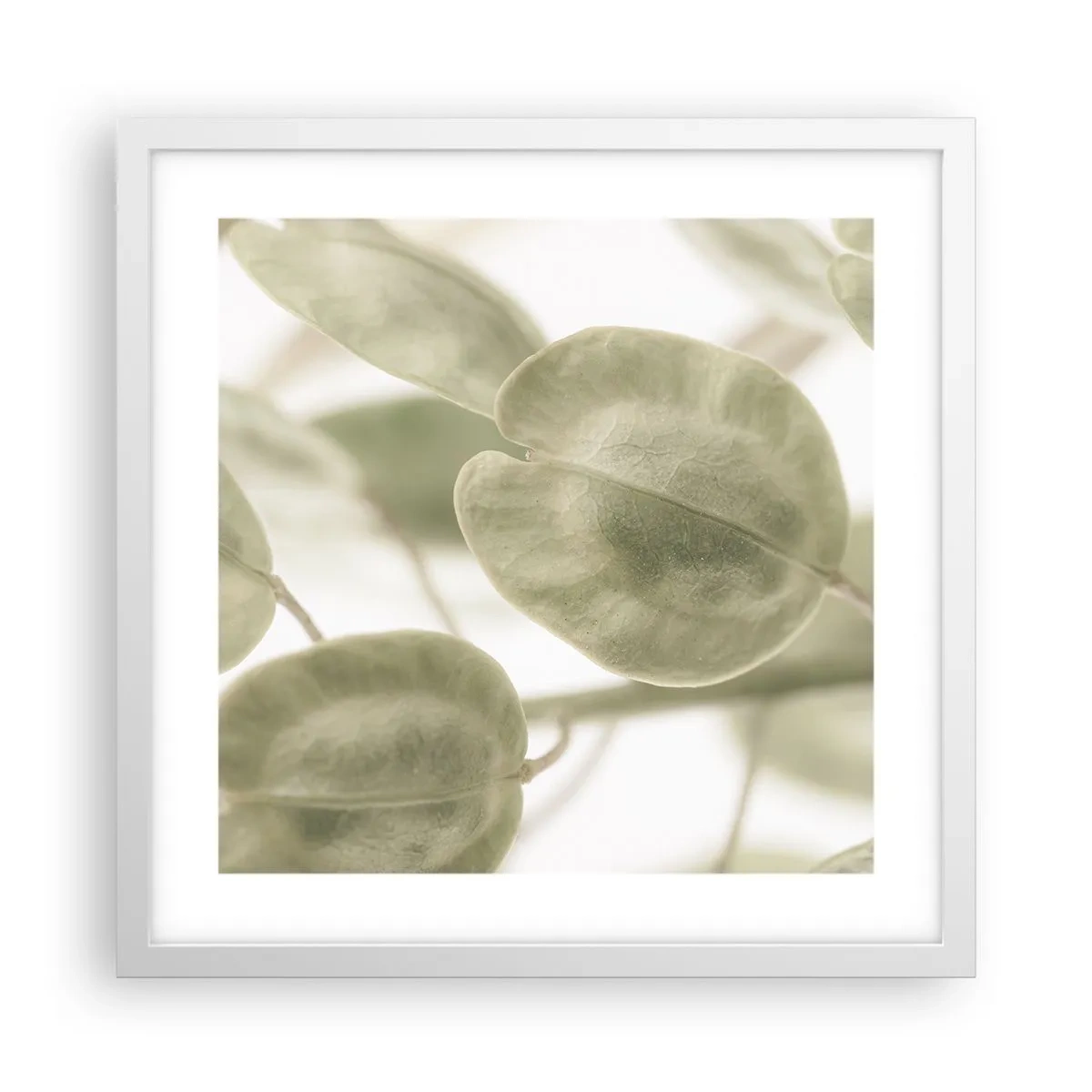 Poszter fekete keretben - Kezdetben levelek voltak... - 40x40 cm