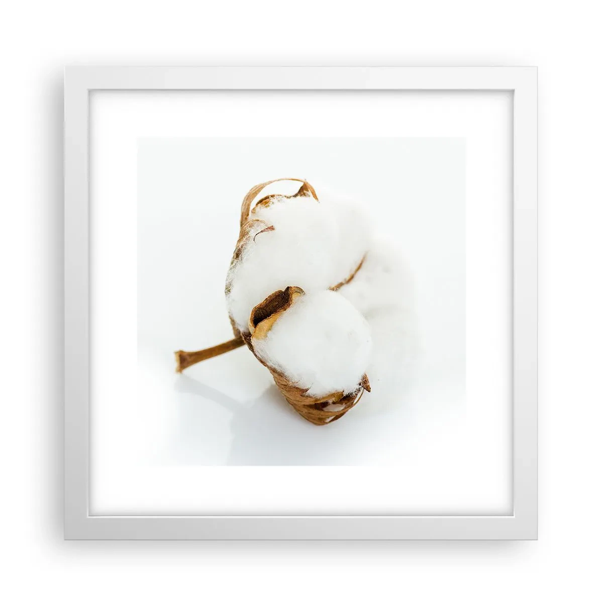 Poszter fekete keretben - Lágy természetű - 30x30 cm