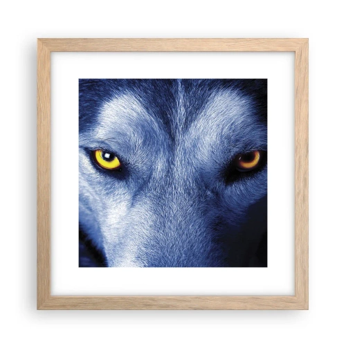 Poszter világos tölgy keretben - Hipnotizáló nézés - 30x30 cm