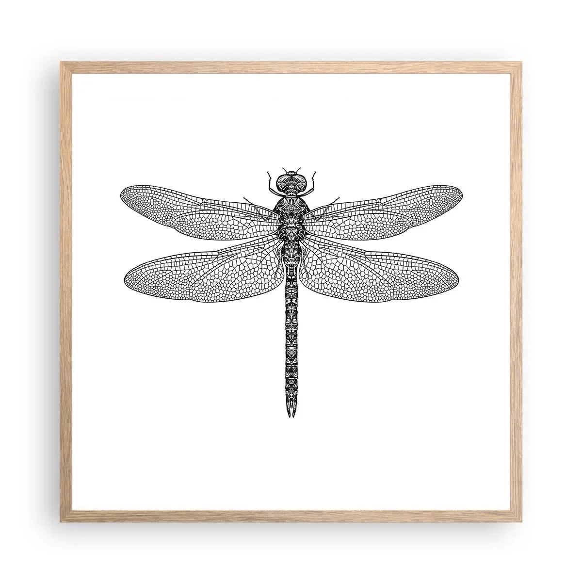 Poszter világos tölgy keretben - A természet precizitása - 60x60 cm