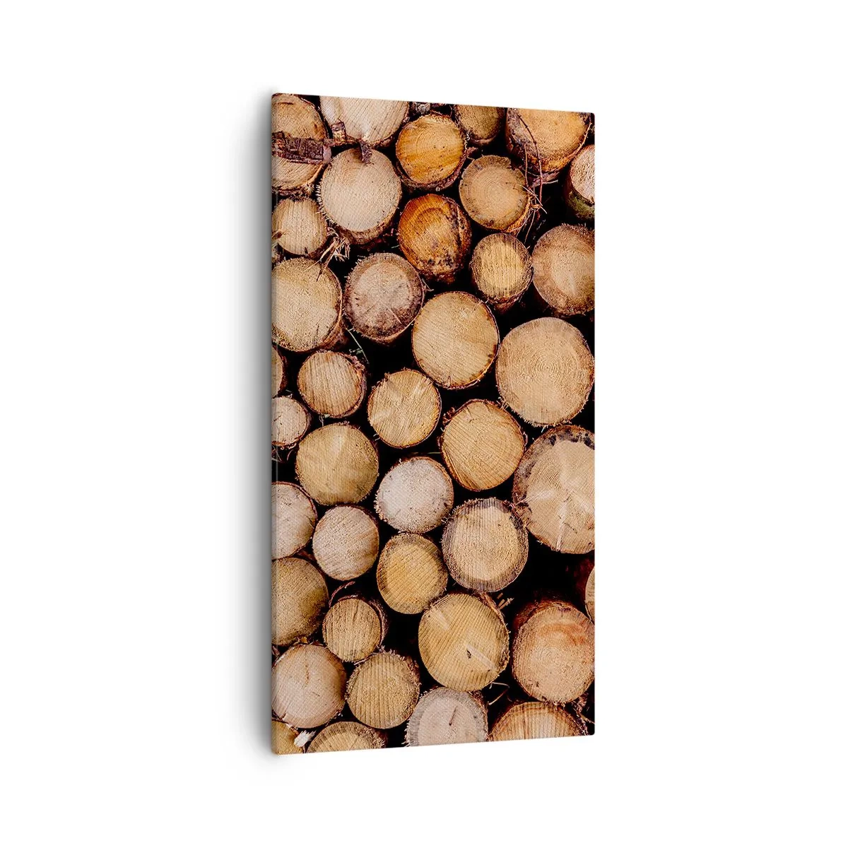 Vászonkép - Egy új kezdet - 55x100 cm