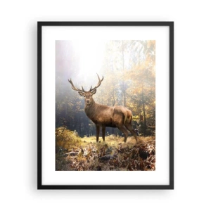 Poszter fehér keretben - Teljes fenségben - 40x50 cm