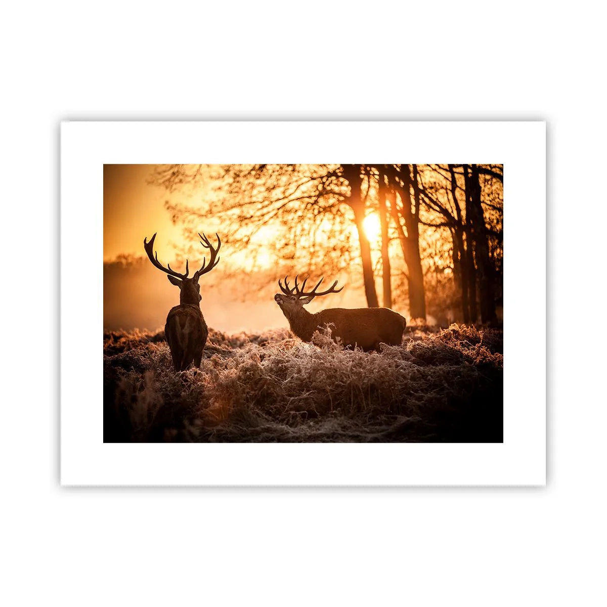 Poszter - Vadász álma - 40x30 cm