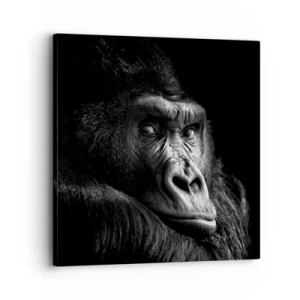 Vászonkép - Mit bámulsz? - 30x30 cm