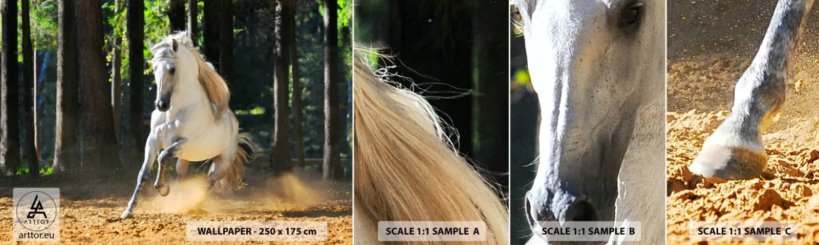 Fotótapéta Minta Standard Eco - Mint egy fantasy regényből - Állatok, Ló, Tájkép - 100x30 cm