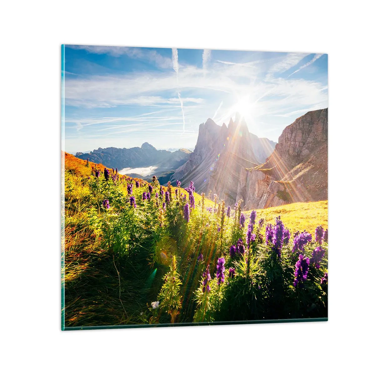 Üveg kép - A gyógynövények titkos élete - 50x50 cm