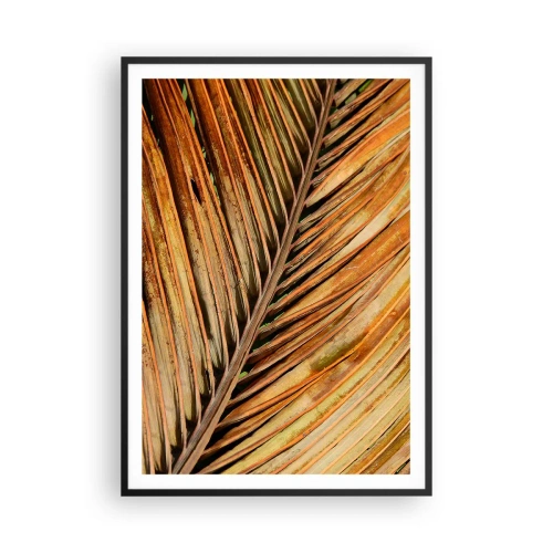 Poszter fehér keretben - Kókusz aranya - 70x100 cm