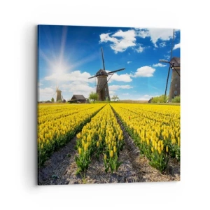 Vászonkép - Nem is lehetne hollandabb - 70x70 cm