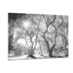 Üveg kép - Egy olajfaligetben - 120x80 cm