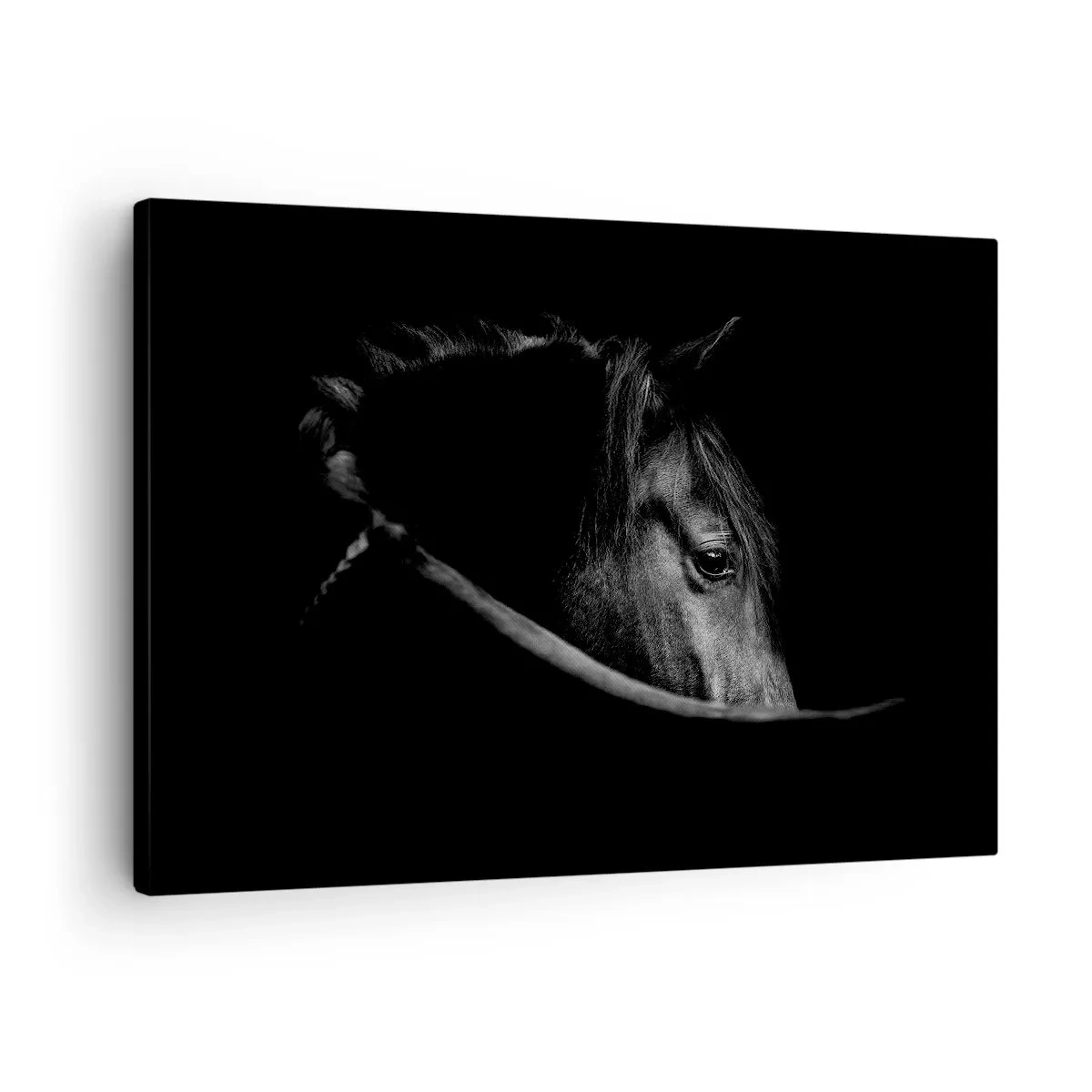 Vászonkép - Egy ló fekete-fehér portréja, sötét háttér előtt a fény és árnyék finom játékával. - 70x50cm - Fekete herceg - Modern fali dekoráció nappalihoz és hálószobához ARTTOR