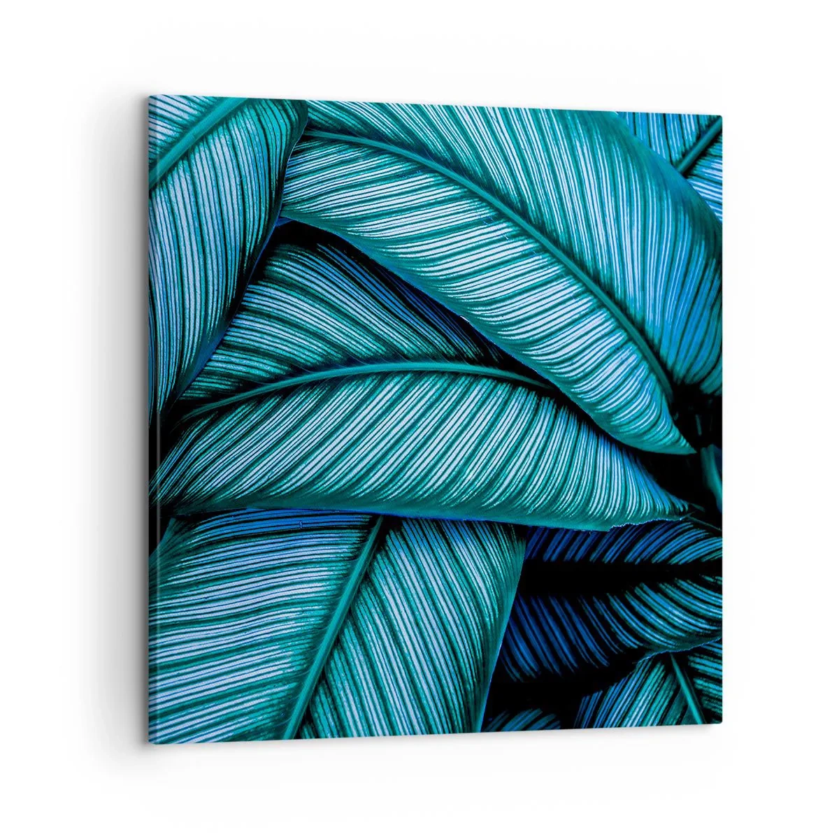 Vászonkép - Életvonalak - 60x60 cm