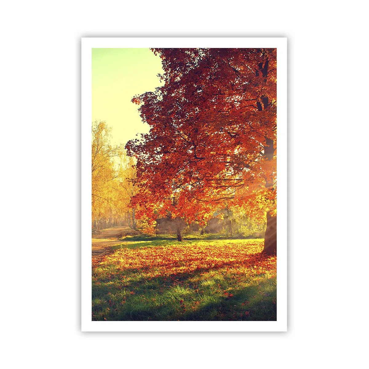 Poszter - A vörös gyönyörű - 70x100 cm