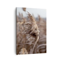 50x70 cm | Függőleges