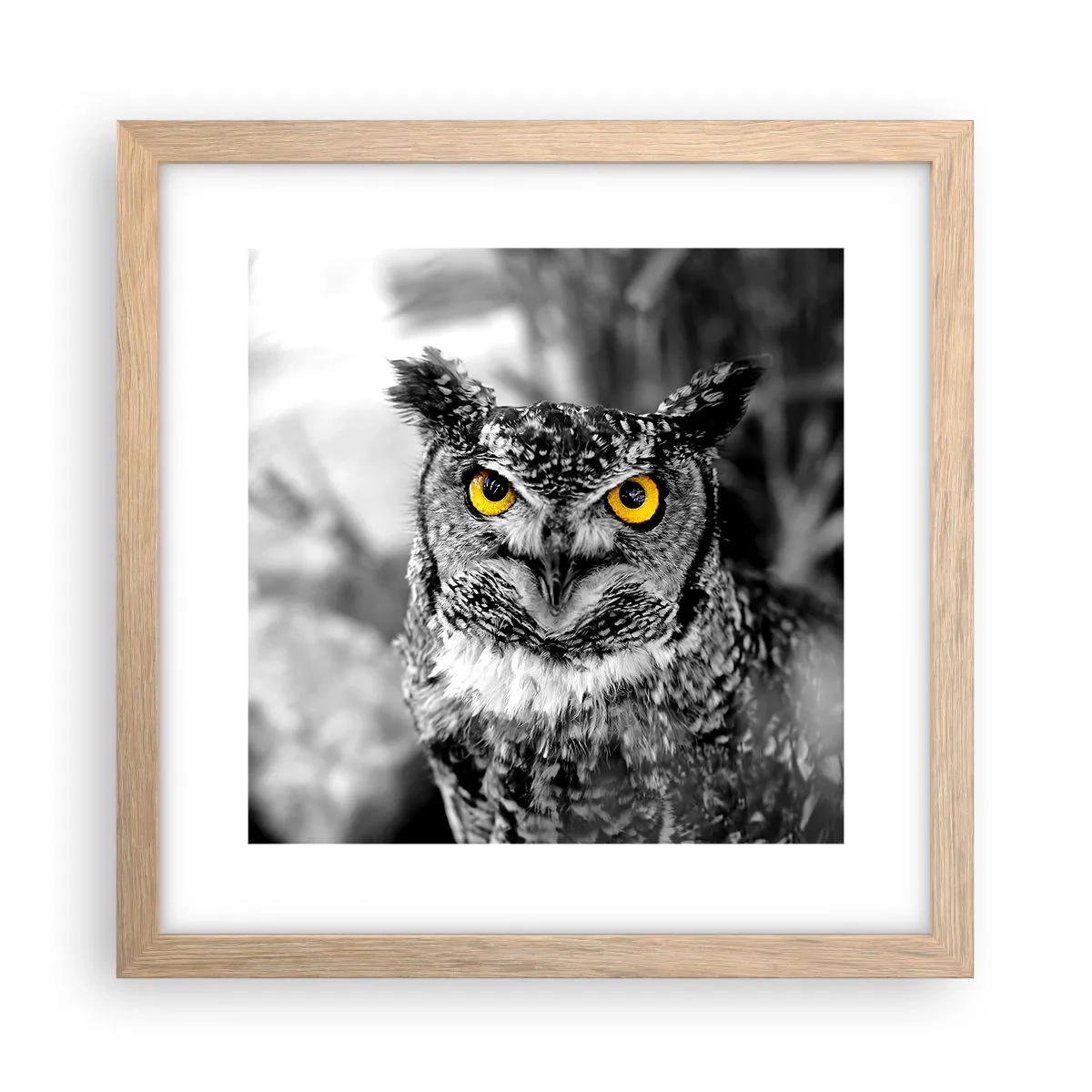 Poszter világos tölgy keretben - Semmi sem fog elbújni - 30x30 cm