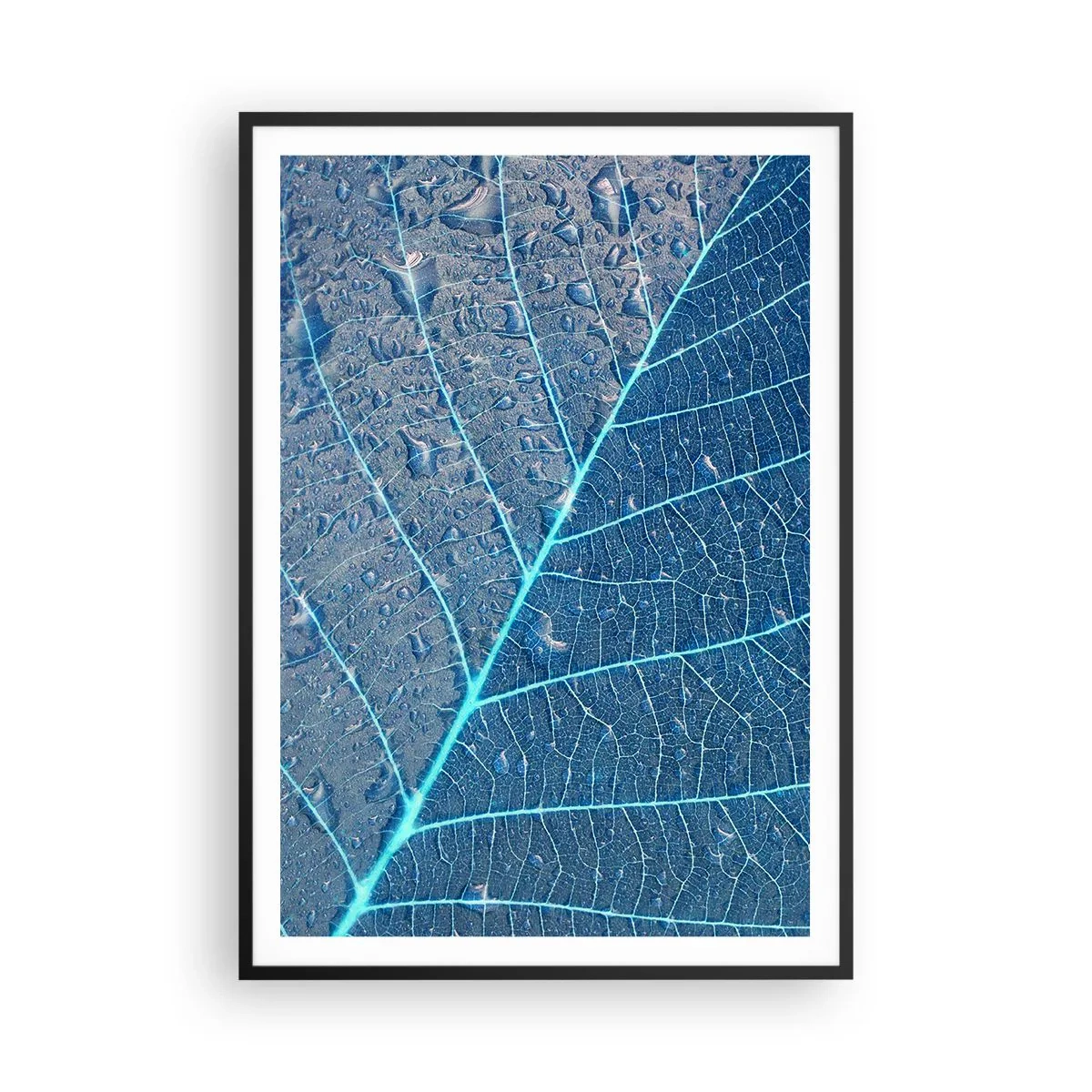 Poszter fehér keretben - Az élet kékben - 70x100 cm