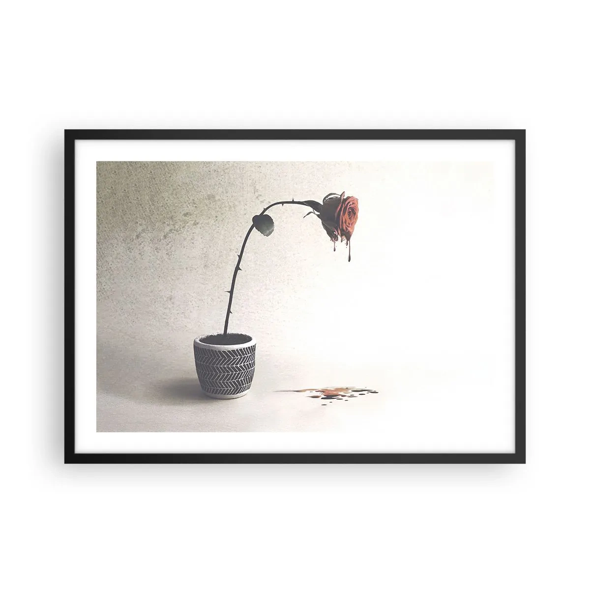 Poszter fehér keretben - Rosa dolorosa - 70x50 cm