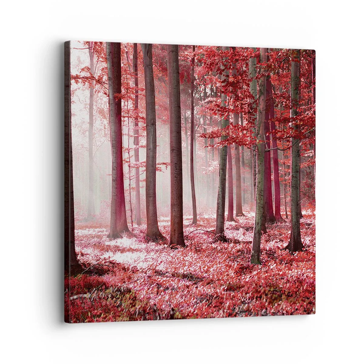 Vászonkép - A piros különösen szép - 30x30 cm