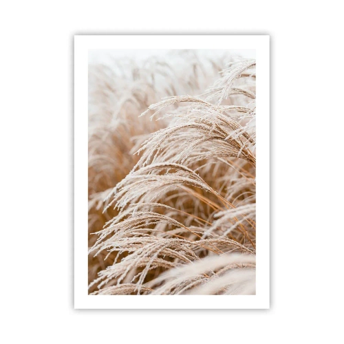 Poszter - Imádság az őszi napnak - 50x70 cm