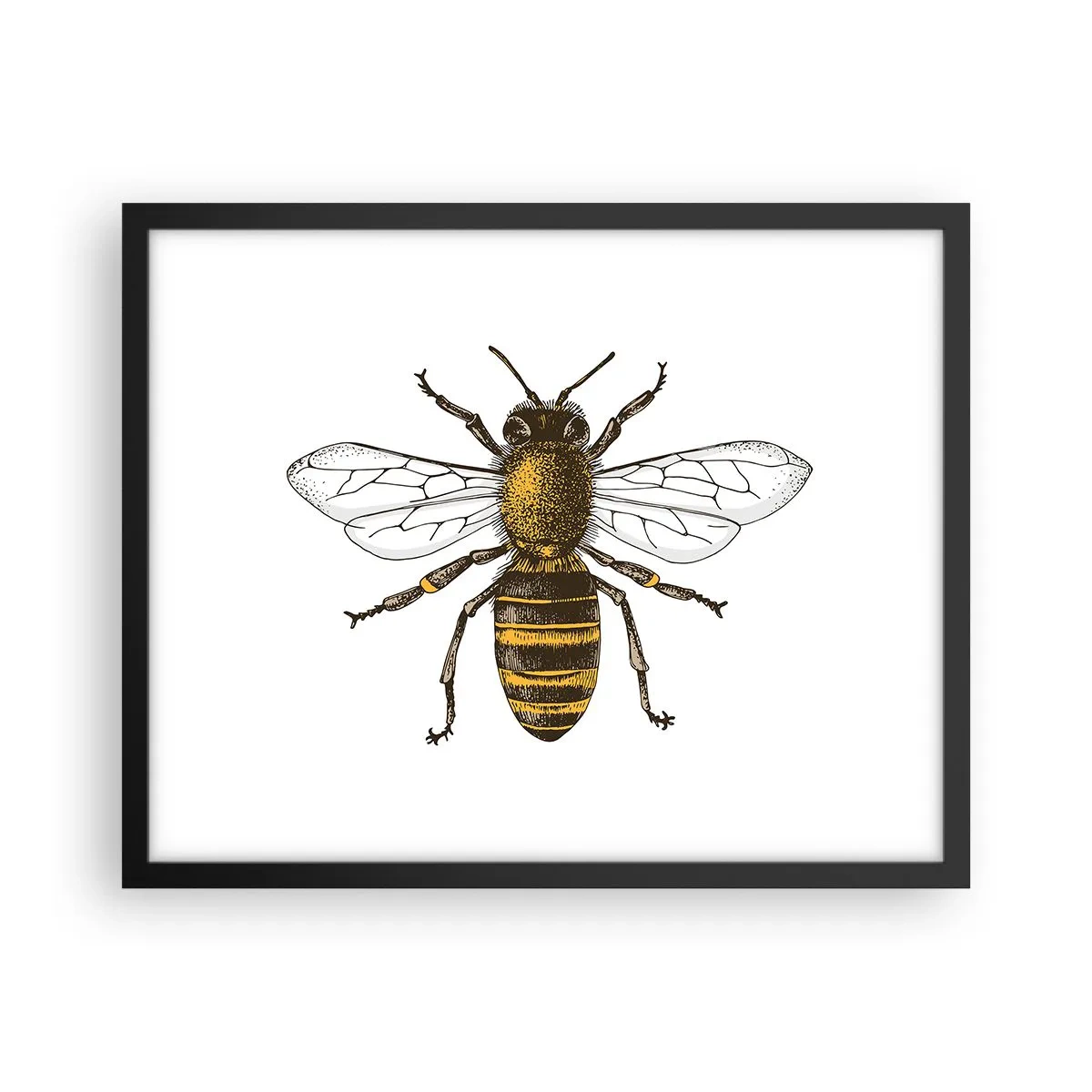 Poszter fehér keretben - Gyönyörű és jó - 50x40 cm