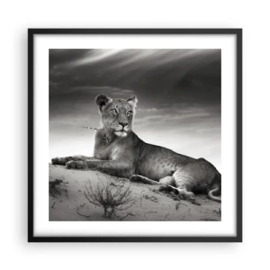 Poszter fehér keretben - A sivatagi királynő pihenése - 50x50 cm