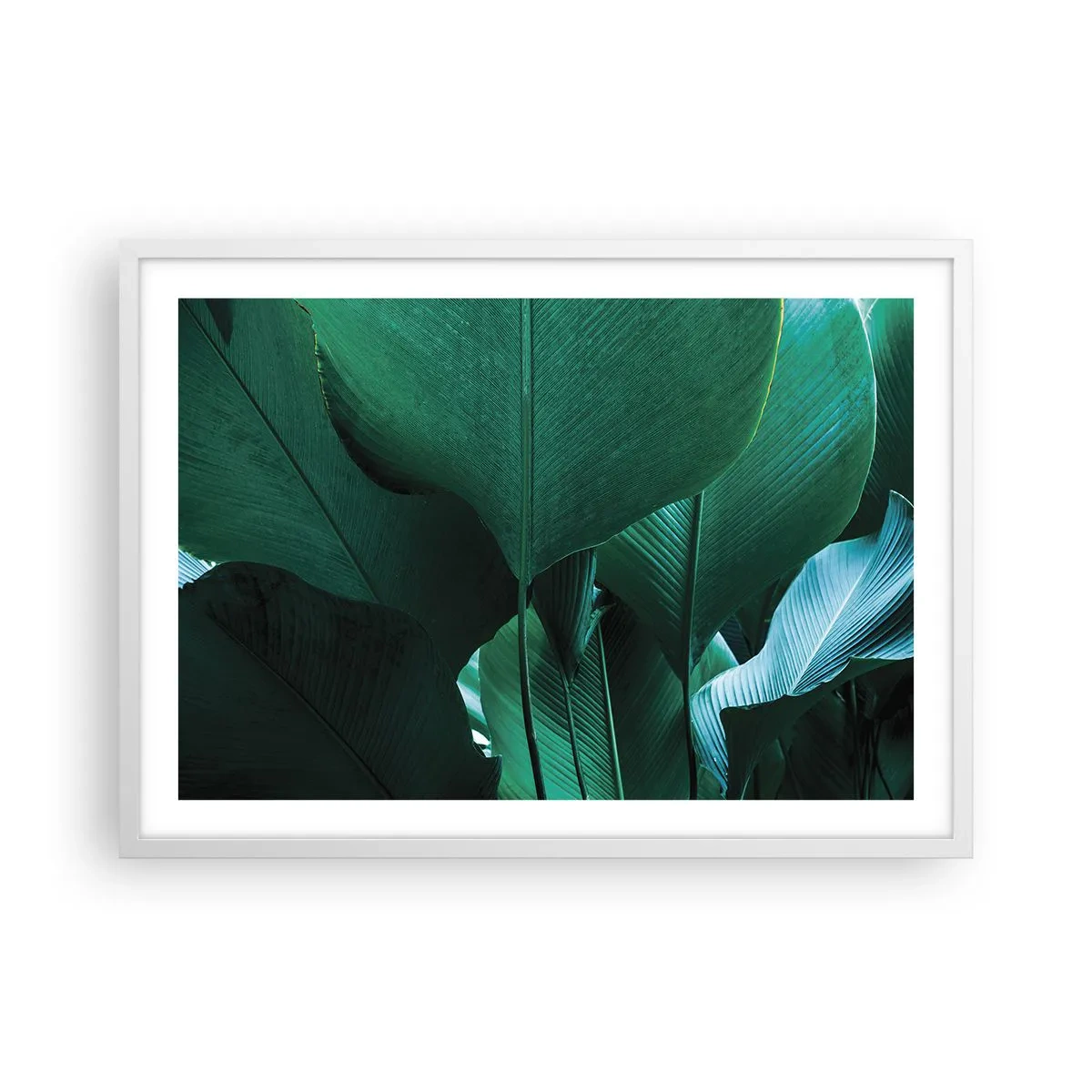 Poszter fekete keretben - A fény felé nézve - 70x50 cm