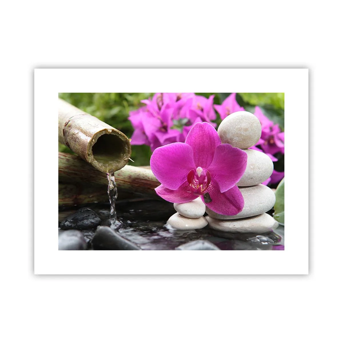 Poszter - Már pihensz - 40x30 cm