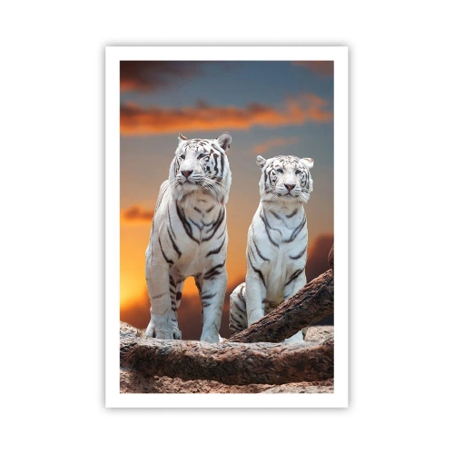 Poszter - Akárcsak Narnia - 61x91 cm