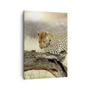 Vászonkép - A magam útjait járom - 50x70 cm