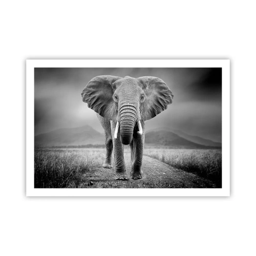 Poszter - A házigazda üdvözli - 91x61 cm