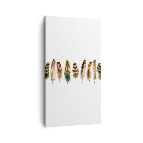 Vászonkép - Tollas variáció - 45x80 cm
