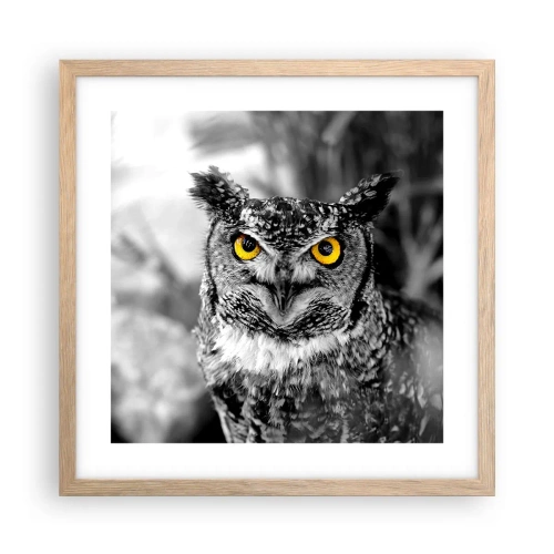 Poszter világos tölgy keretben - Semmi sem fog elbújni - 40x40 cm