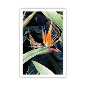 Poszter - A trópusok lángoló virágai - 61x91 cm