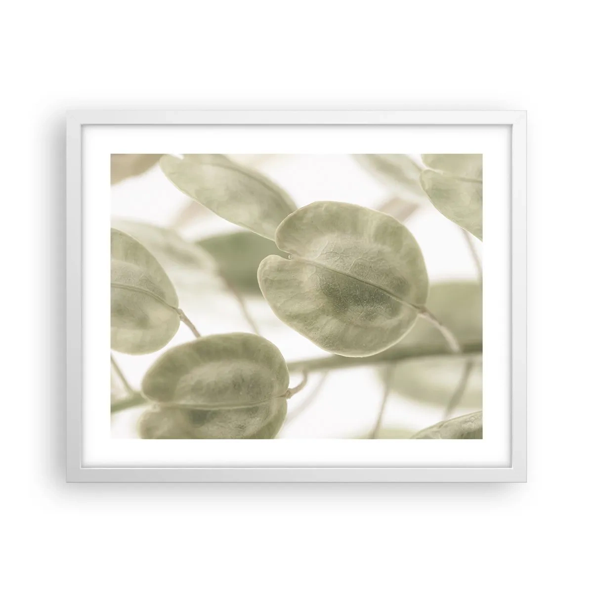 Poszter fekete keretben - Kezdetben levelek voltak... - 50x40 cm