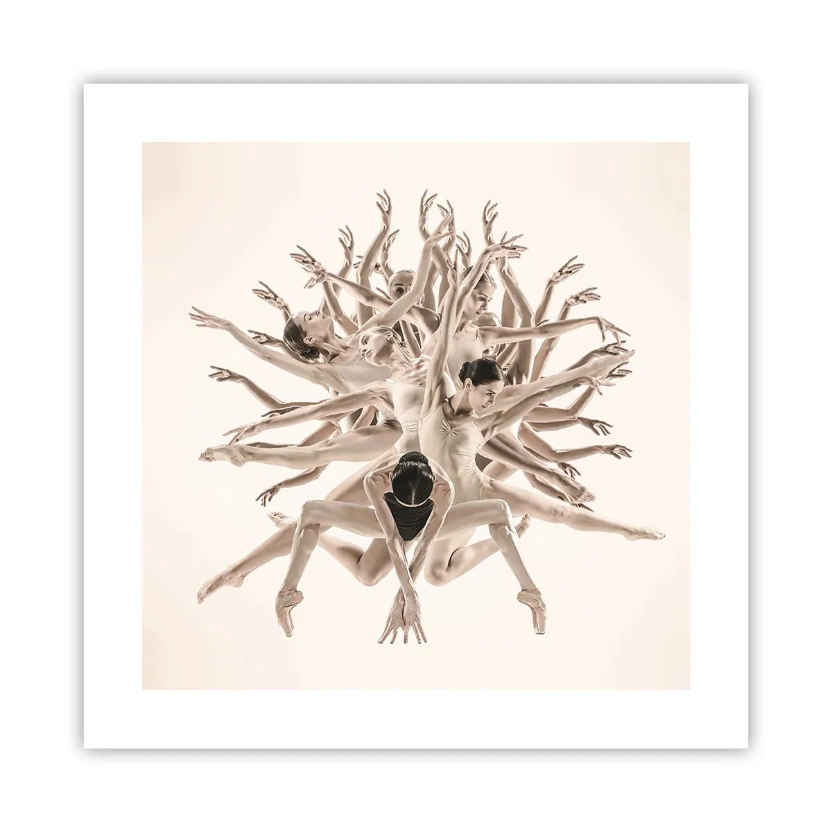 Poszter - Virágzás a táncban - 40x40 cm