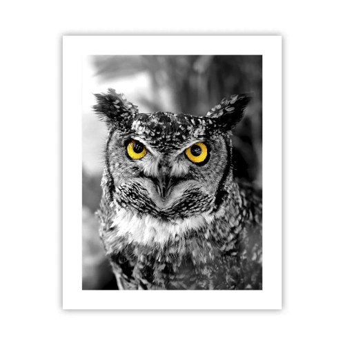 Poszter - Semmi sem fog elbújni - 40x50 cm