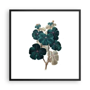Poszter fehér keretben - Egy régi herbáriumból - 60x60 cm