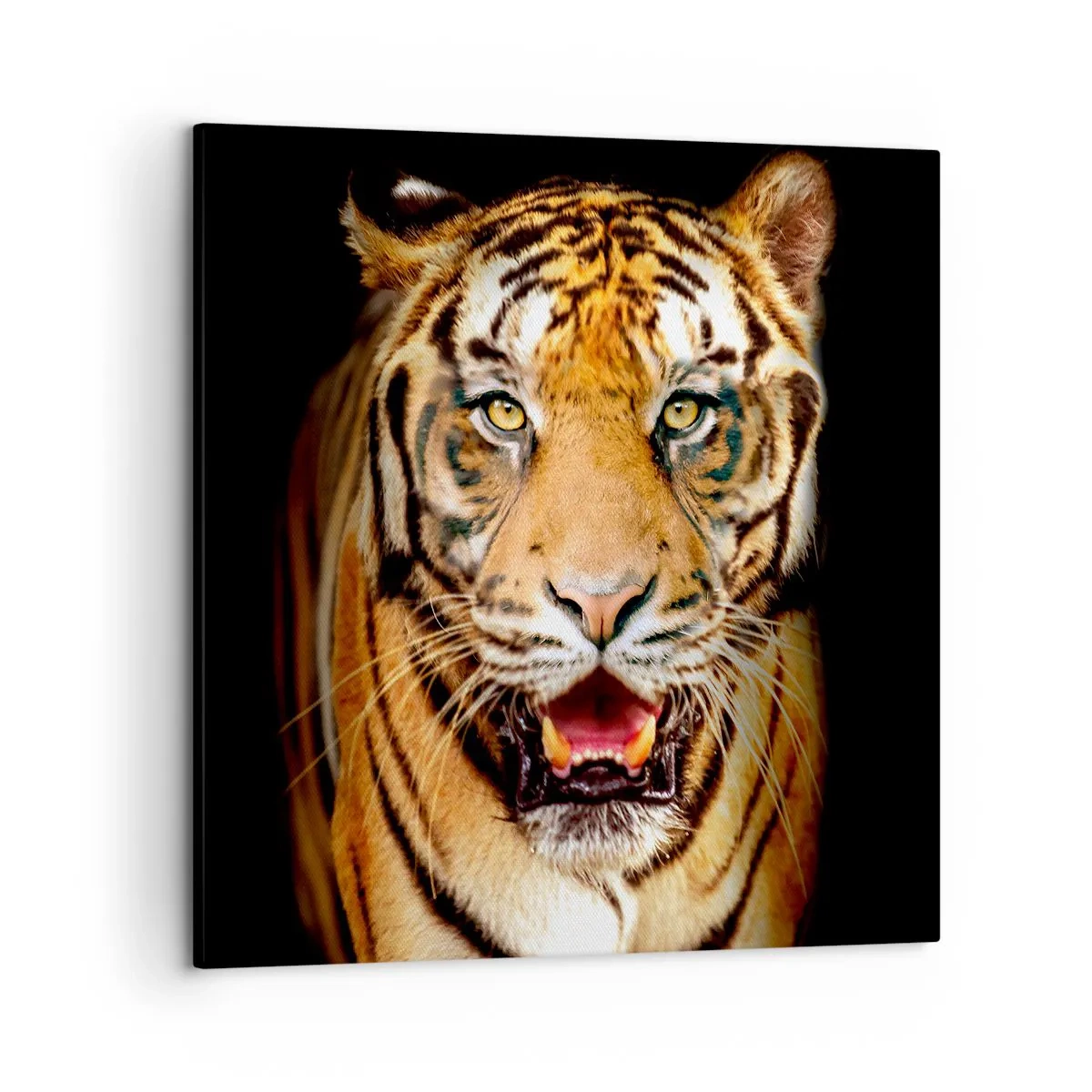 Vászonkép - Szívében vad - 50x50 cm