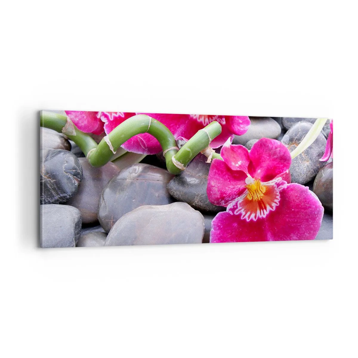 Vászonkép - Hideg és forró - 100x40 cm