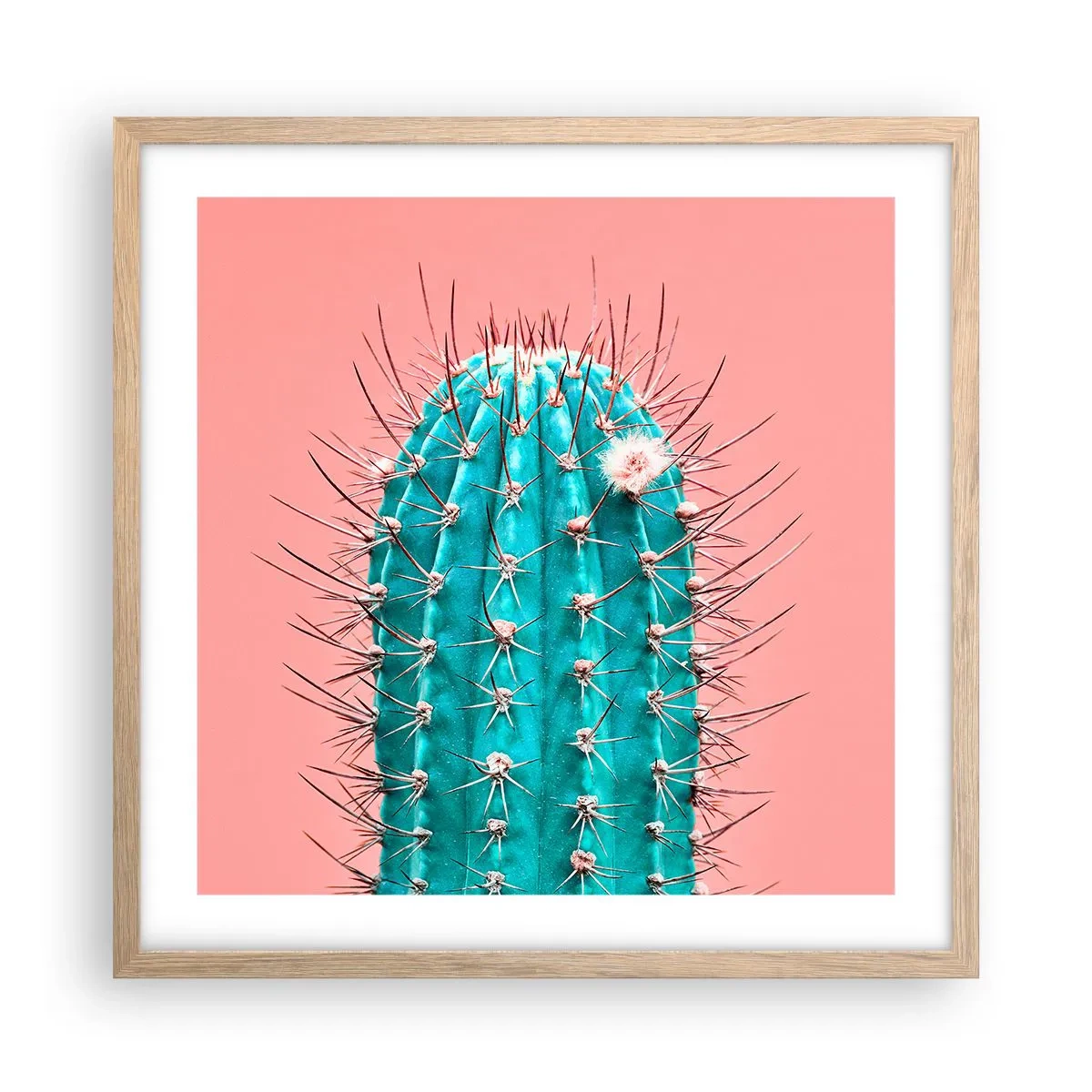 Poszter világos tölgy keretben - Csak nézz - 50x50 cm