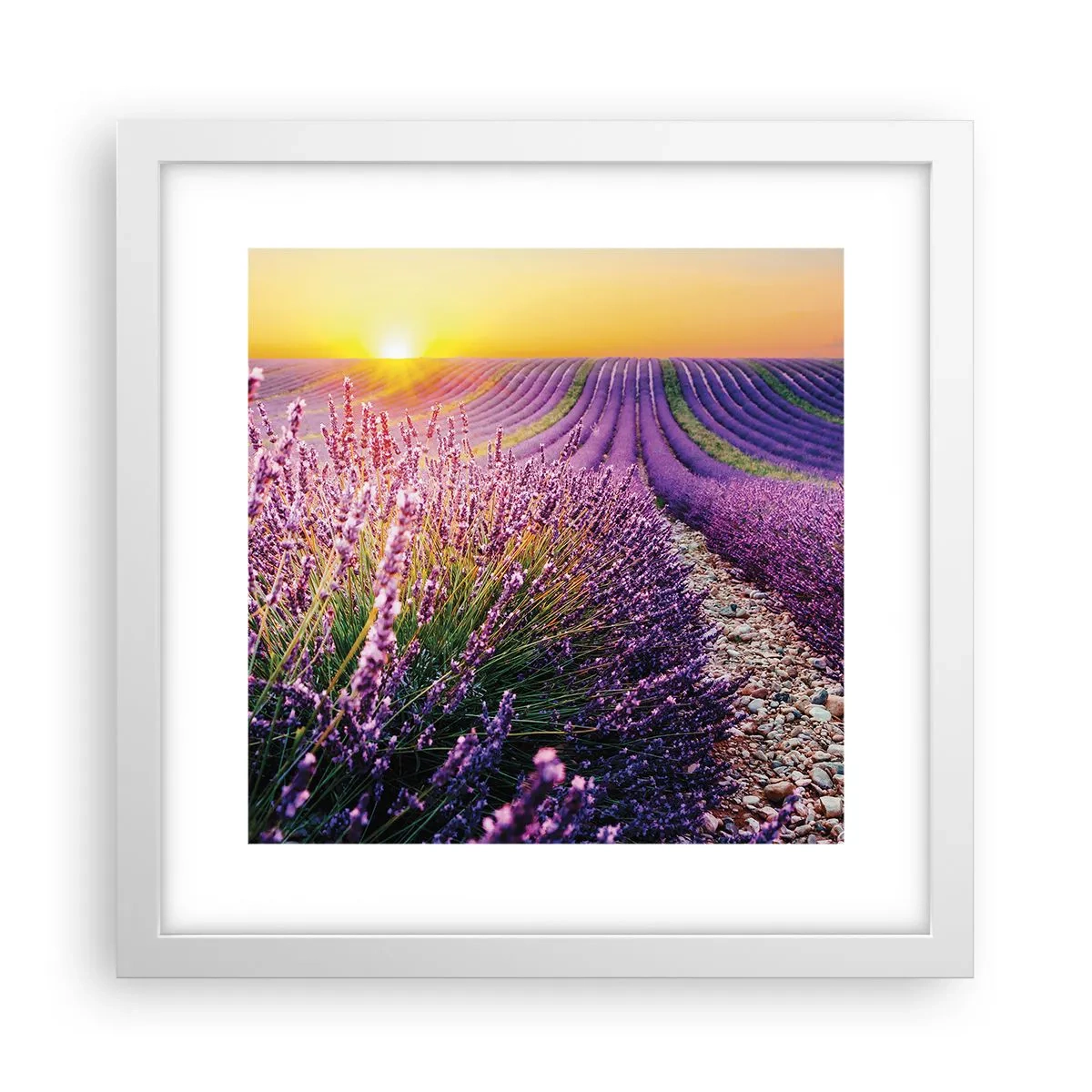 Poszter fekete keretben - Illatos szálak - 30x30 cm