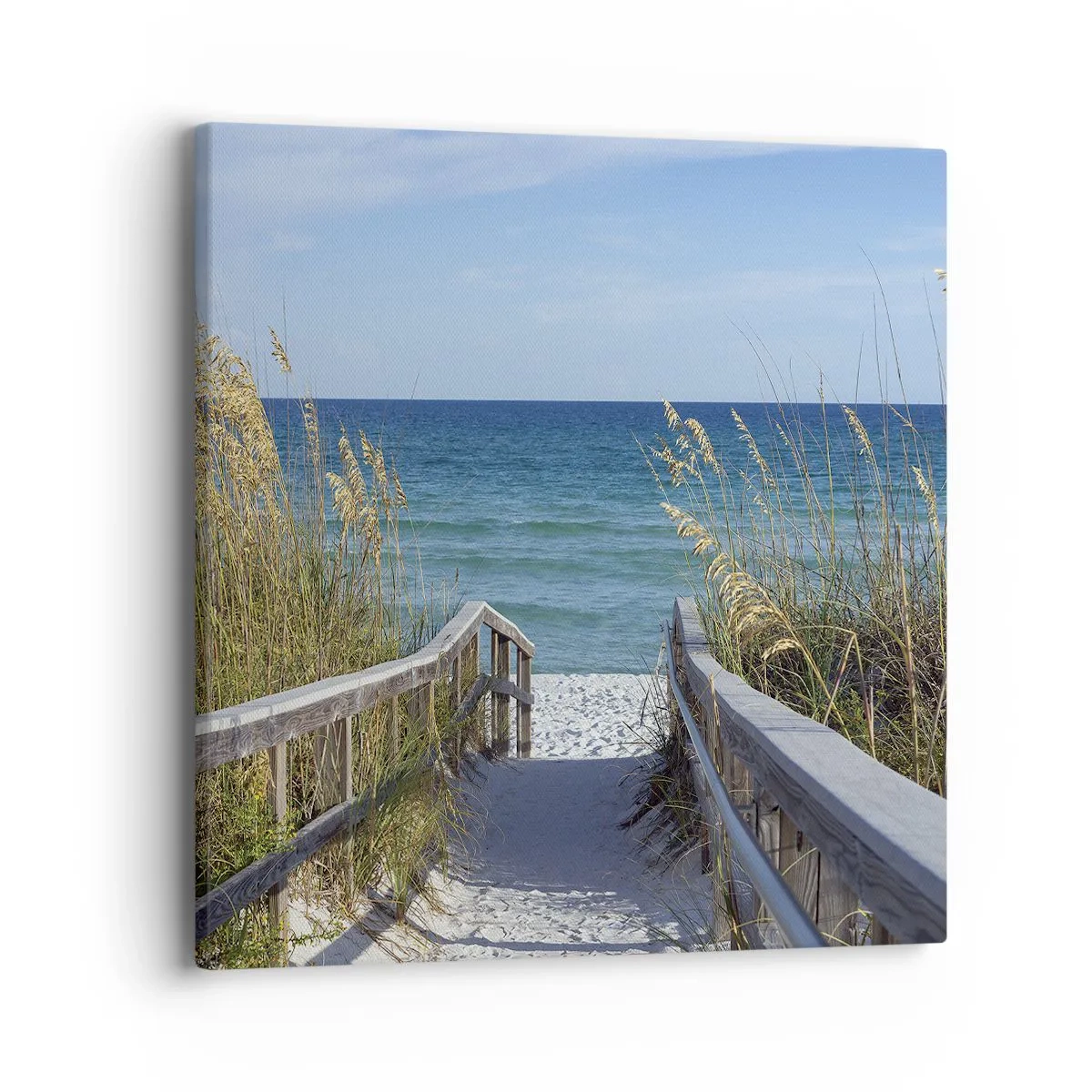 Vászonkép - Napsütésben, szélben - 40x40 cm