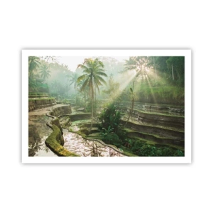 Poszter - Felnőni a napon - 91x61 cm