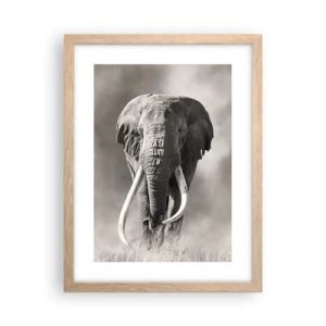 Poszter világos tölgy keretben - Afrikai patriarcha - 30x40 cm