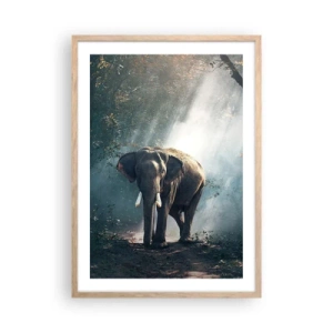 Poszter világos tölgy keretben - Nyugodt séta - 50x70 cm