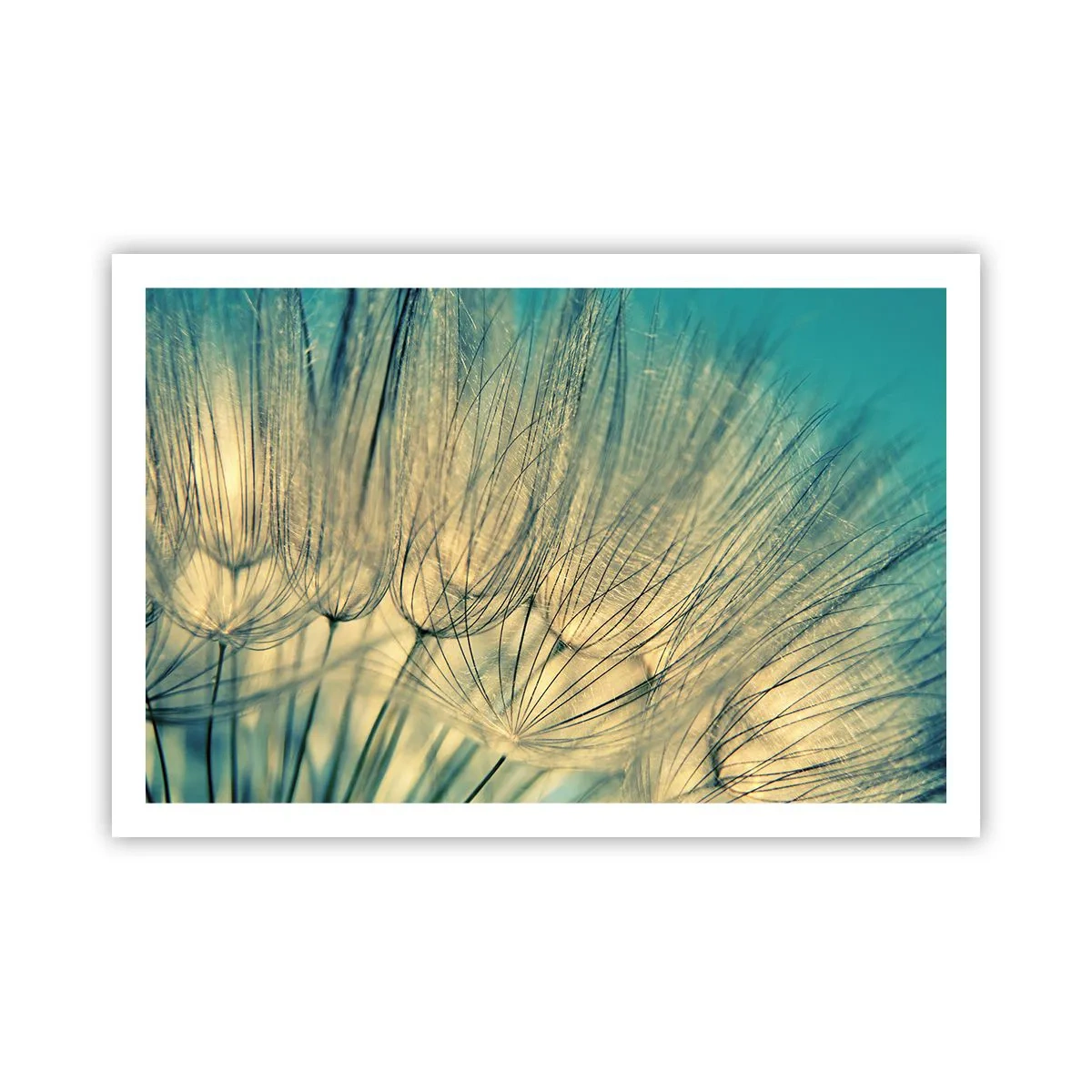 Poszter - A szélre várva - 91x61 cm