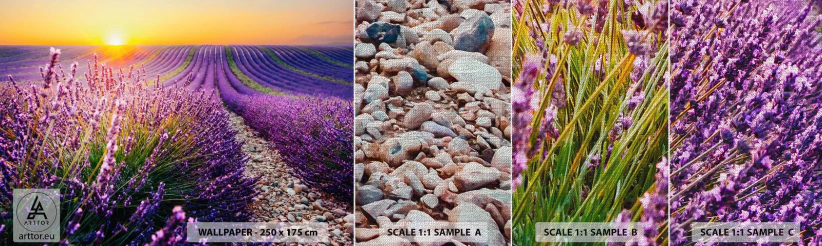 Fotótapéta Minta Premium Canvas - Illatos szálak - Tájkép, Levendula mező, Provence - 100x30 cm